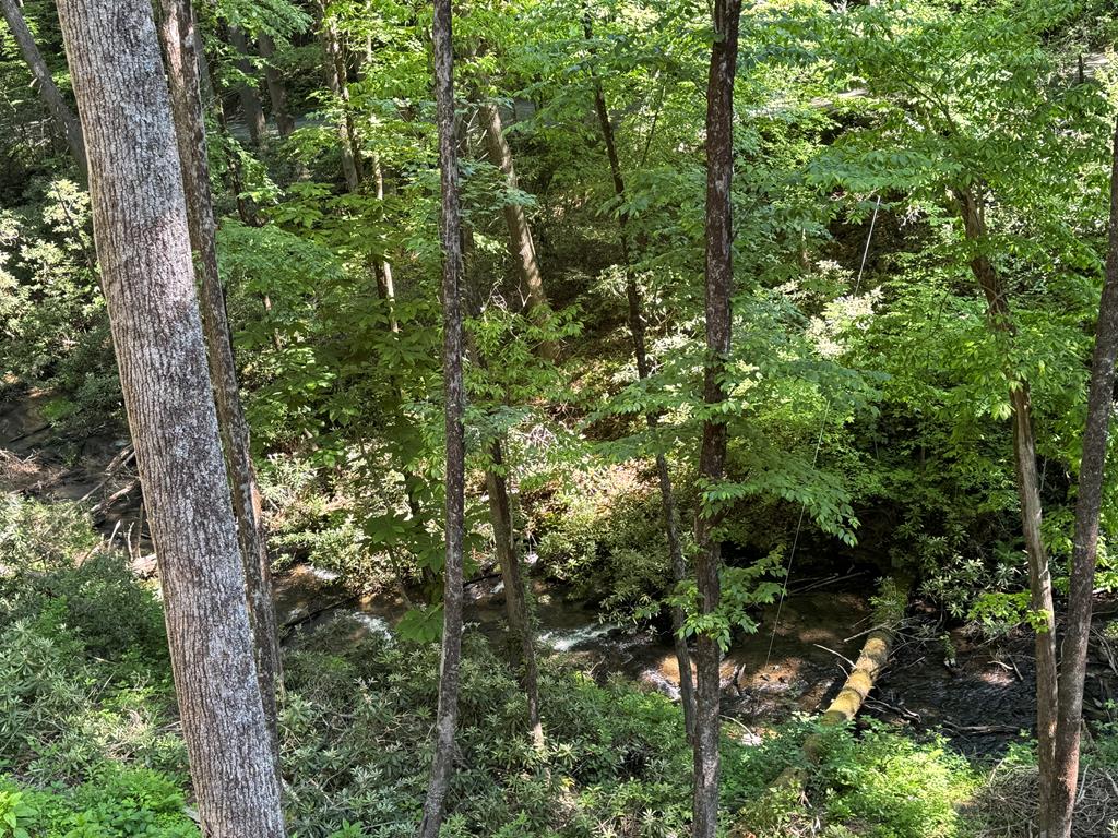 122 Laurel Creek Trail Property Photo 49