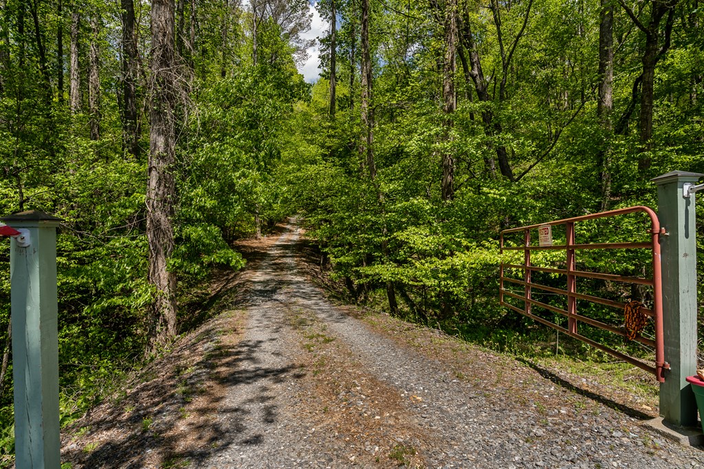 8954 Doublehead Gap Road Property Photo 17