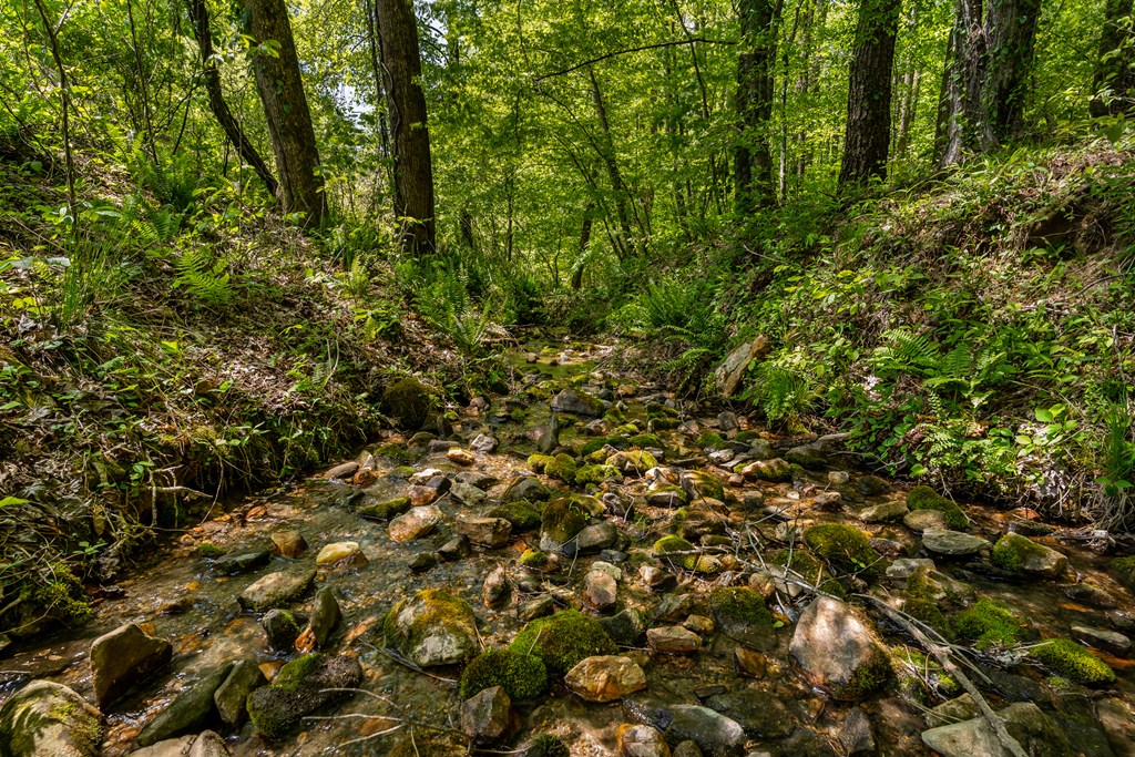 8954 Doublehead Gap Road Property Photo 18