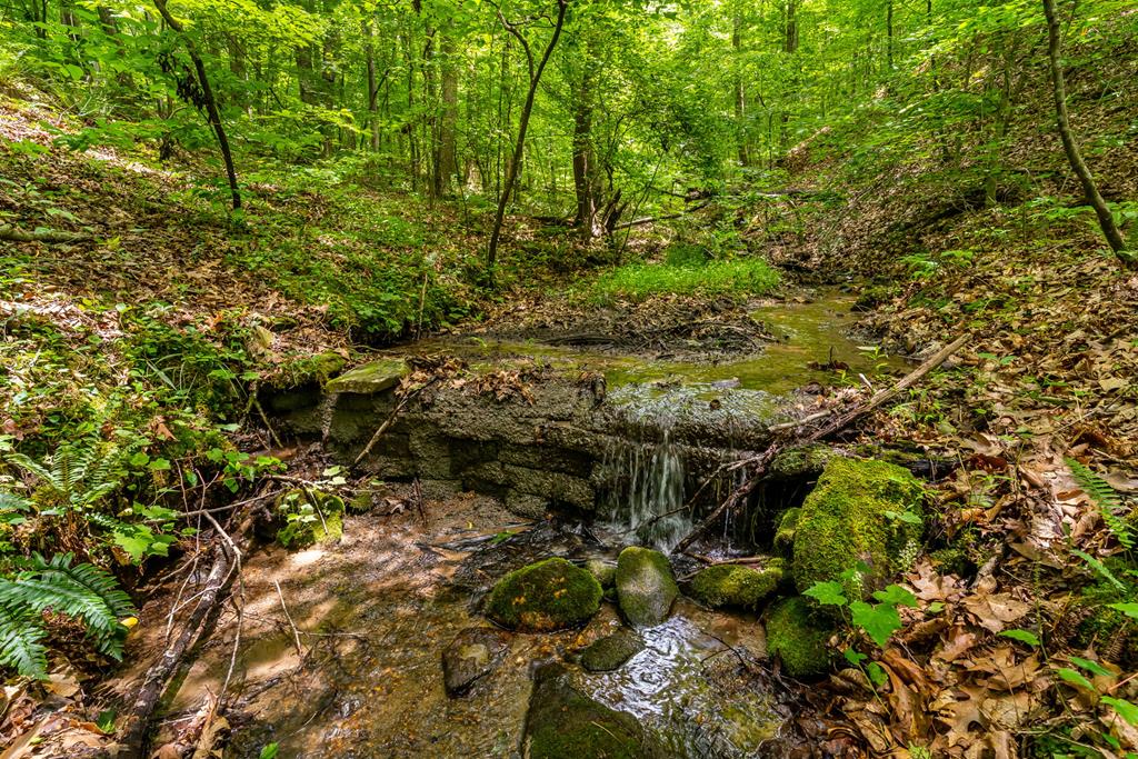 8954 Doublehead Gap Road Property Photo 60