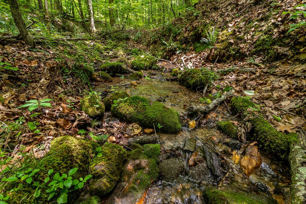 8954 Doublehead Gap Road Property Photo 61