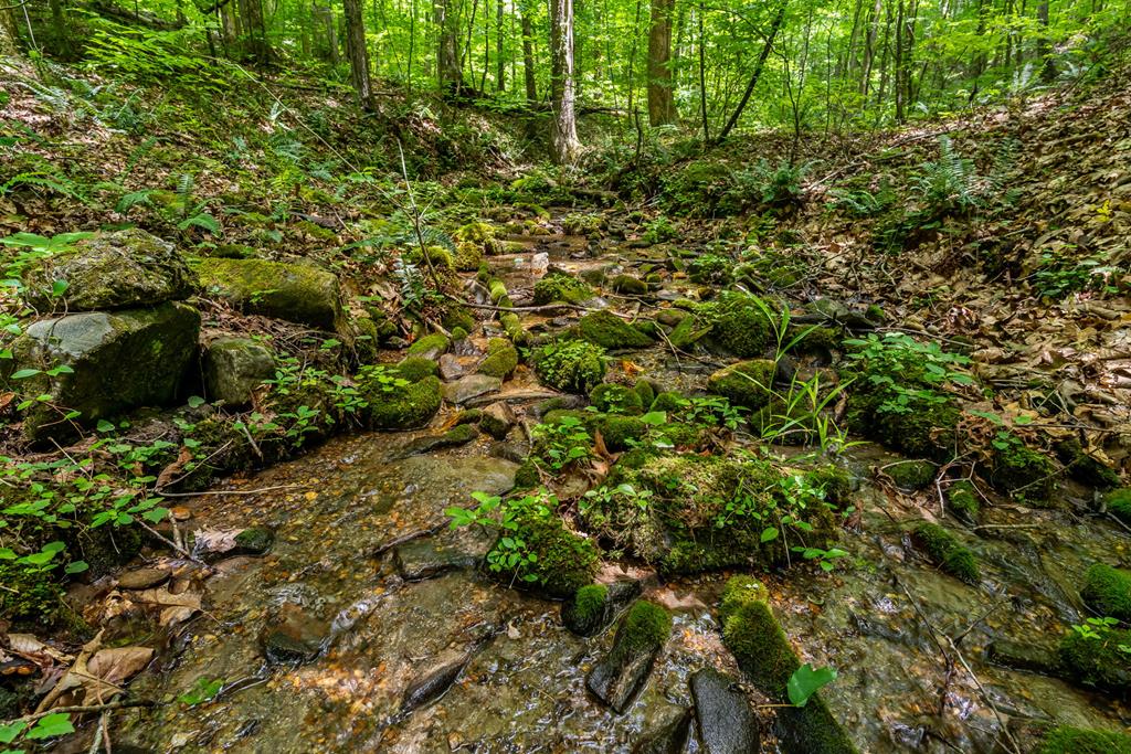 8954 Doublehead Gap Road Property Photo 62