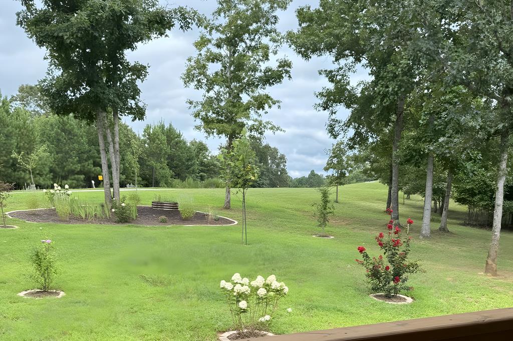 335 Northshore Drive Property Photo 71