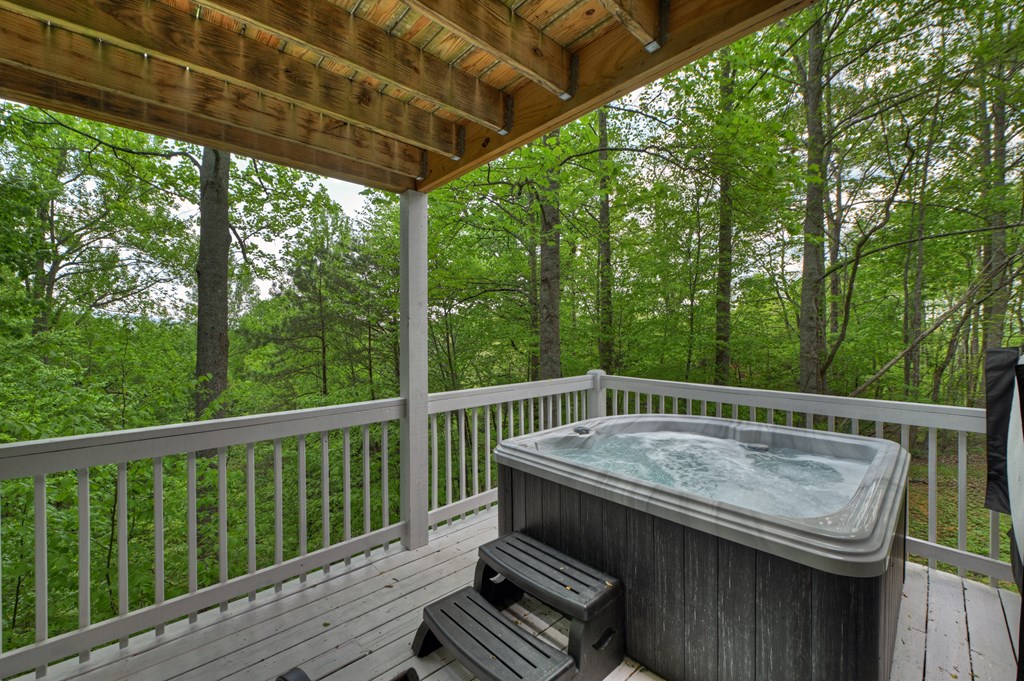 134 Mountain Hideaway Lane Property Photo 28