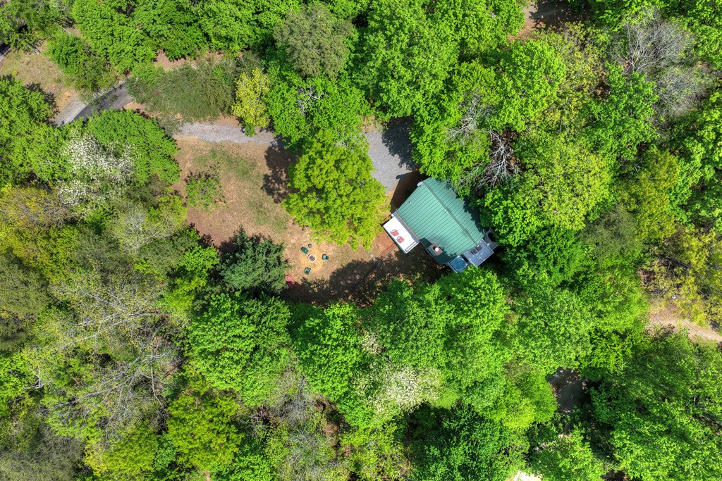 134 Mountain Hideaway Lane Property Photo 37