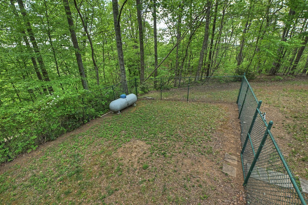 134 Mountain Hideaway Lane Property Photo 40