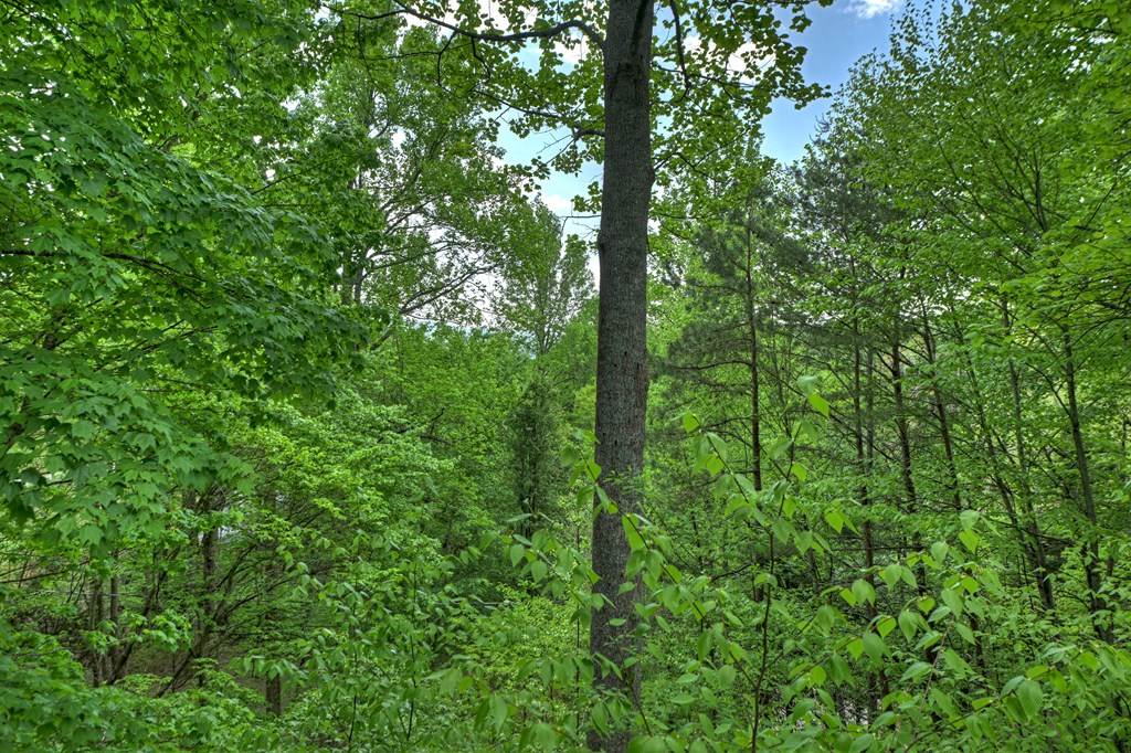 134 Mountain Hideaway Lane Property Photo 41