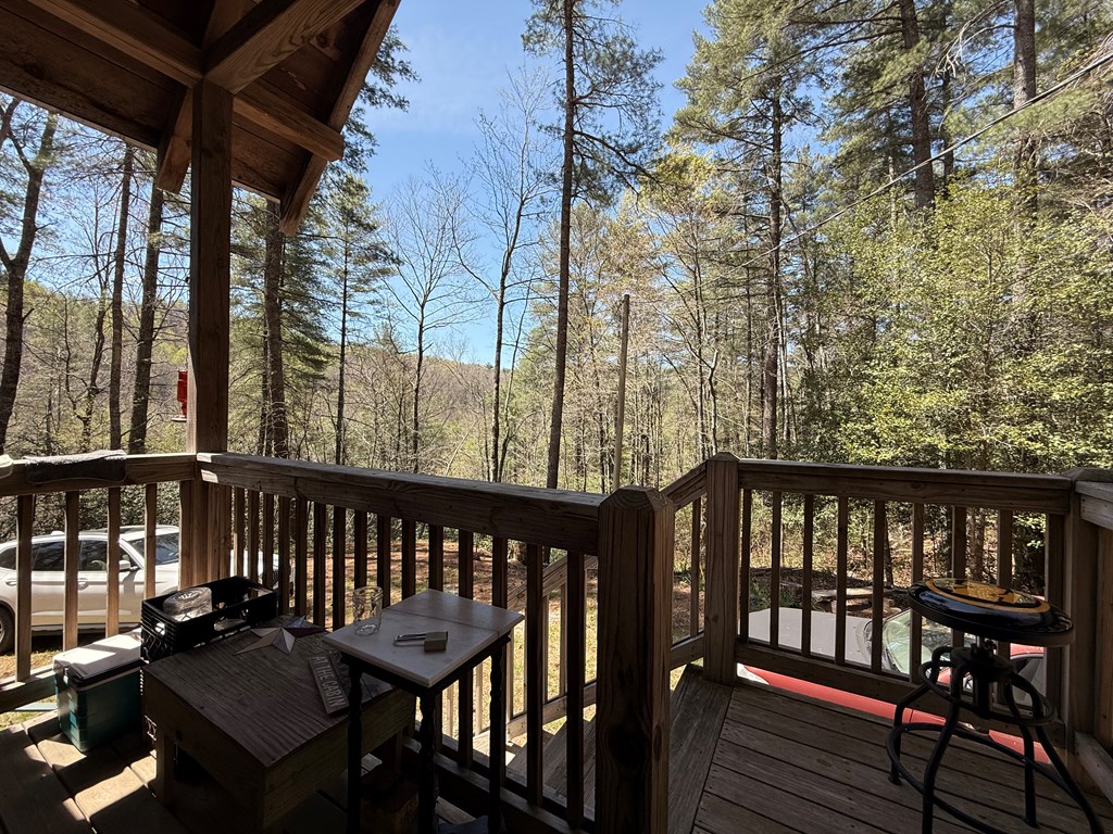 306 Jacks River Road Property Photo 3
