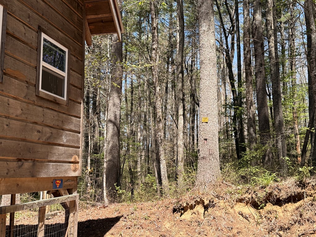 306 Jacks River Road Property Photo 11