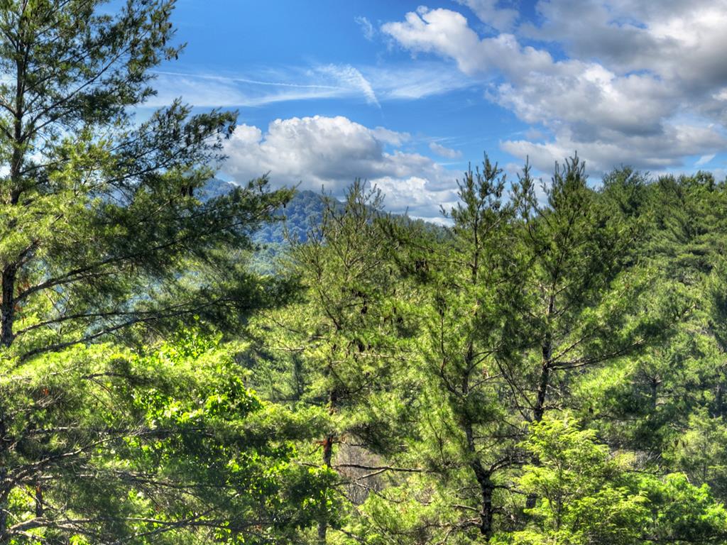 260 Down Under Road Property Photo 61