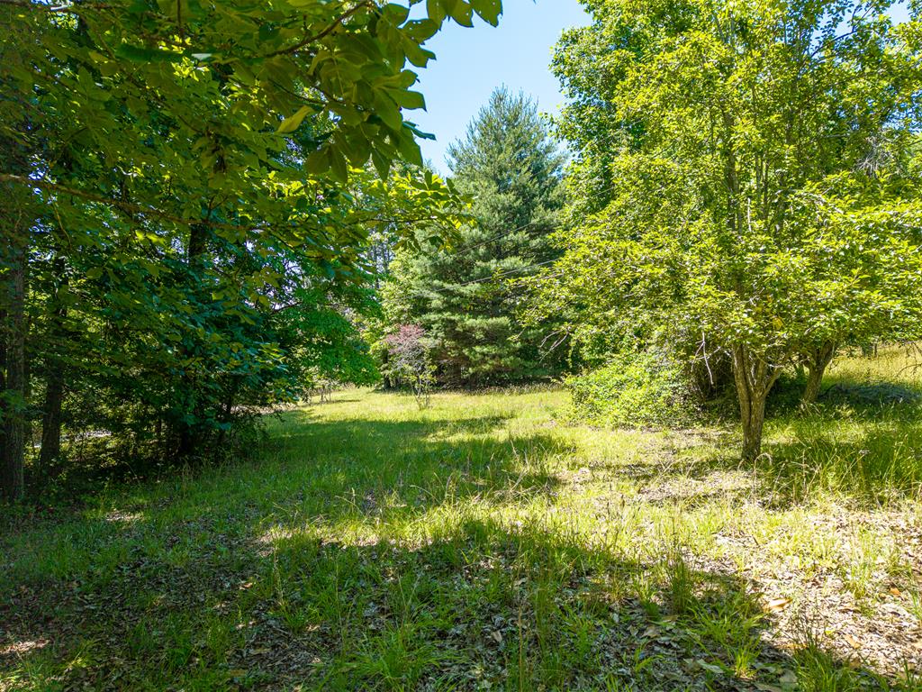 46 Green Kirby Lane Property Photo 5