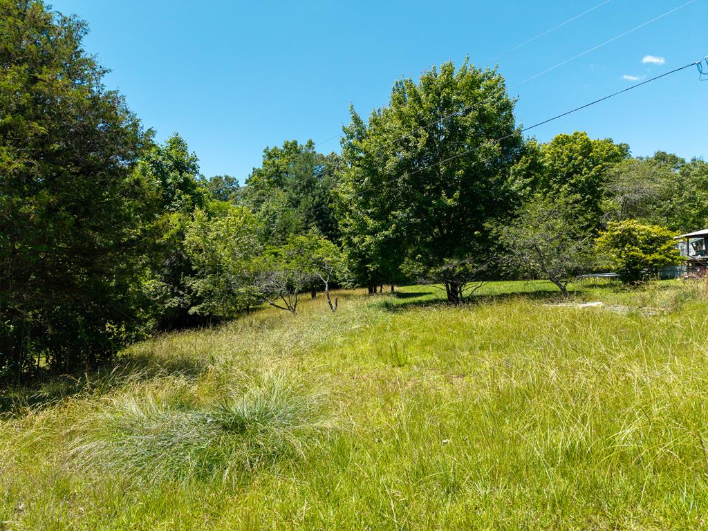 46 Green Kirby Lane Property Photo 6