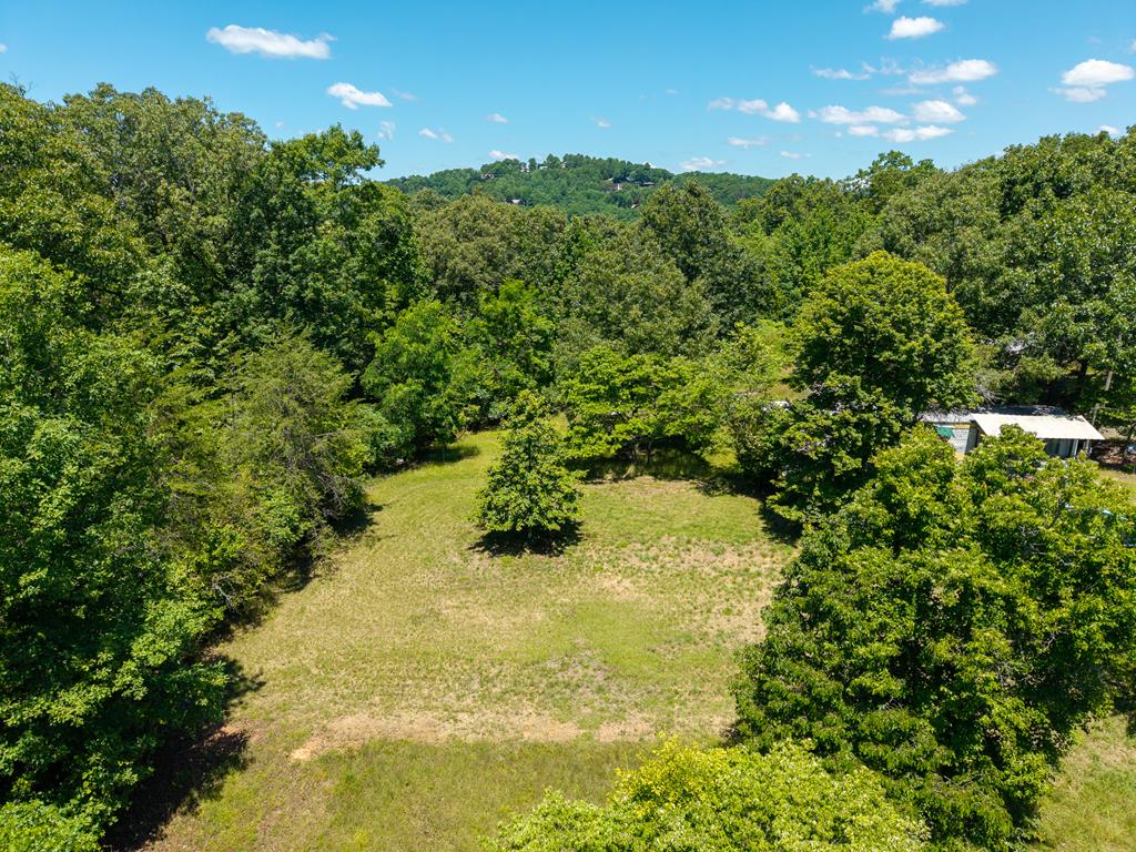 46 Green Kirby Lane Property Photo 7