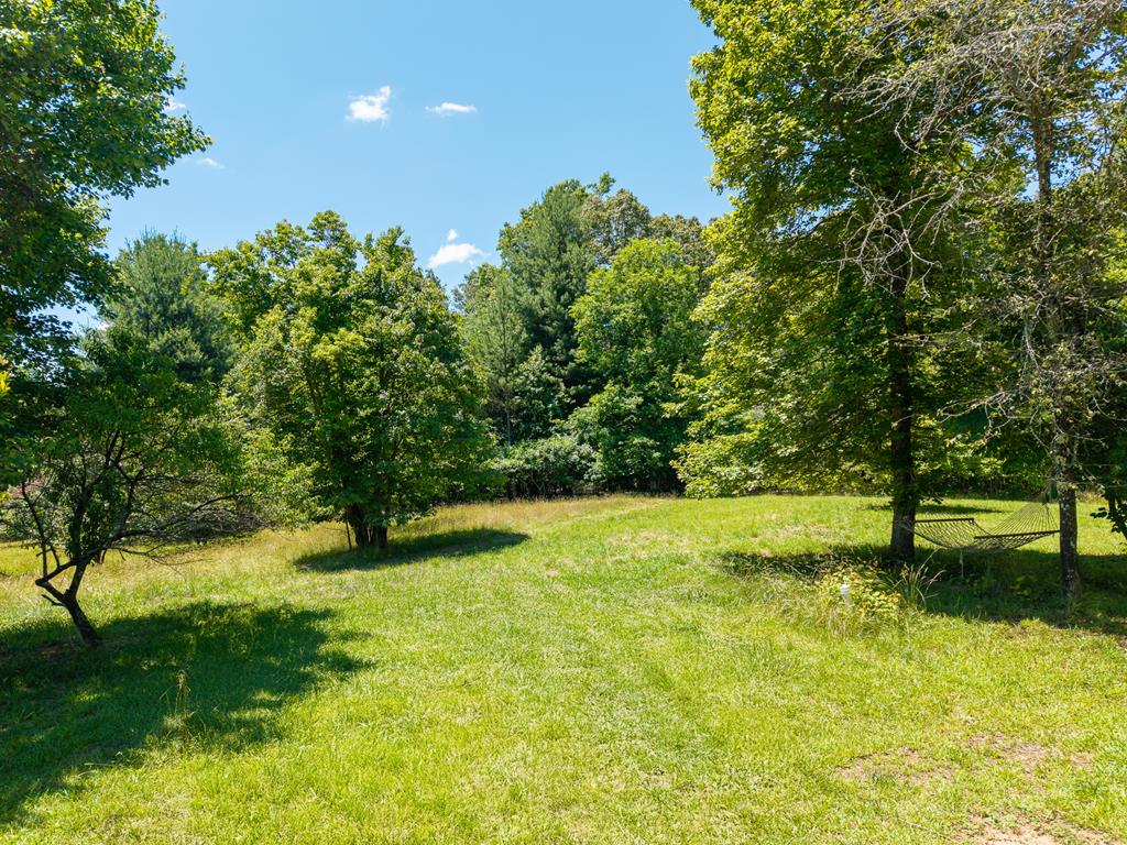 46 Green Kirby Lane Property Photo 8