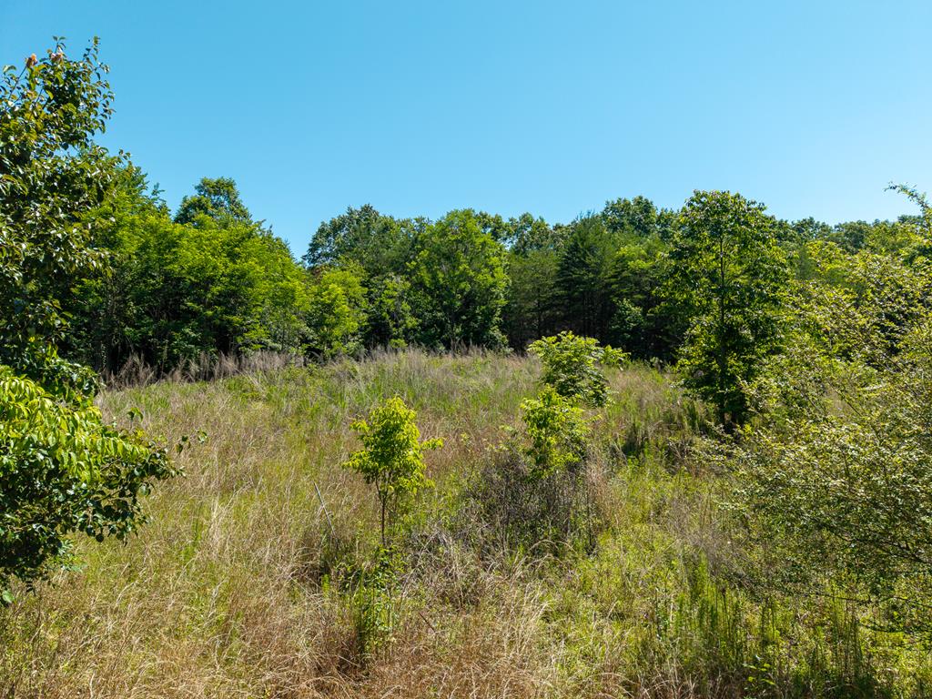 46 Green Kirby Lane Property Photo 11