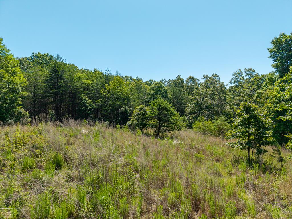 46 Green Kirby Lane Property Photo 13