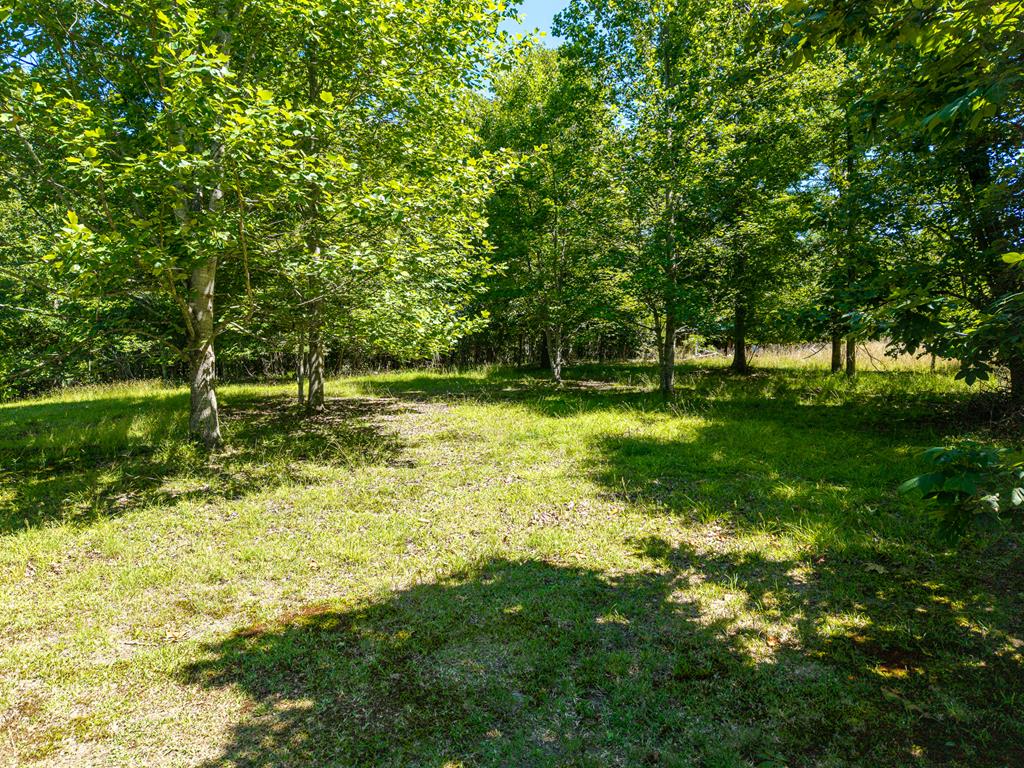 46 Green Kirby Lane Property Photo 14