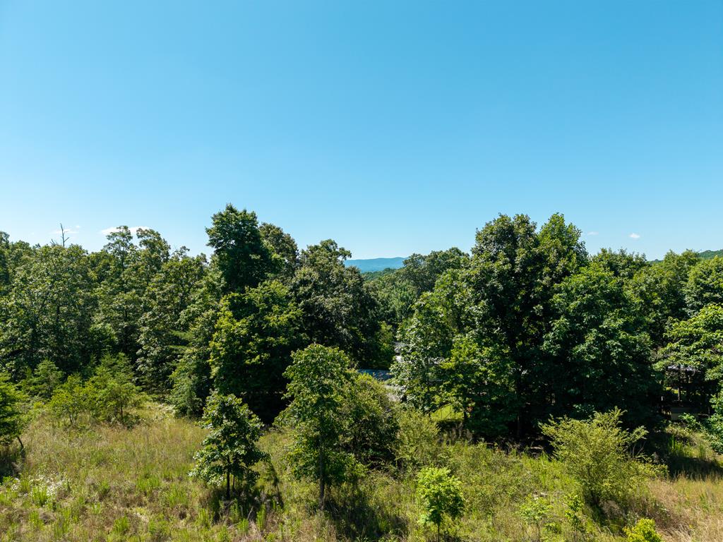 46 Green Kirby Lane Property Photo 16