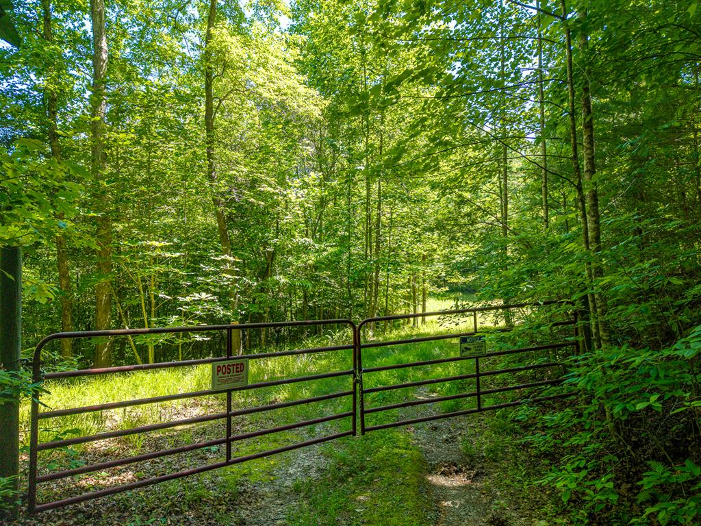 46 Green Kirby Lane Property Photo 20