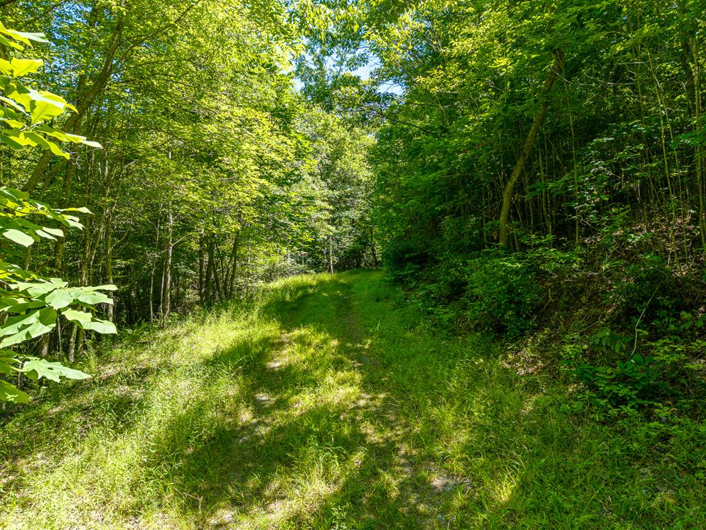 46 Green Kirby Lane Property Photo 23