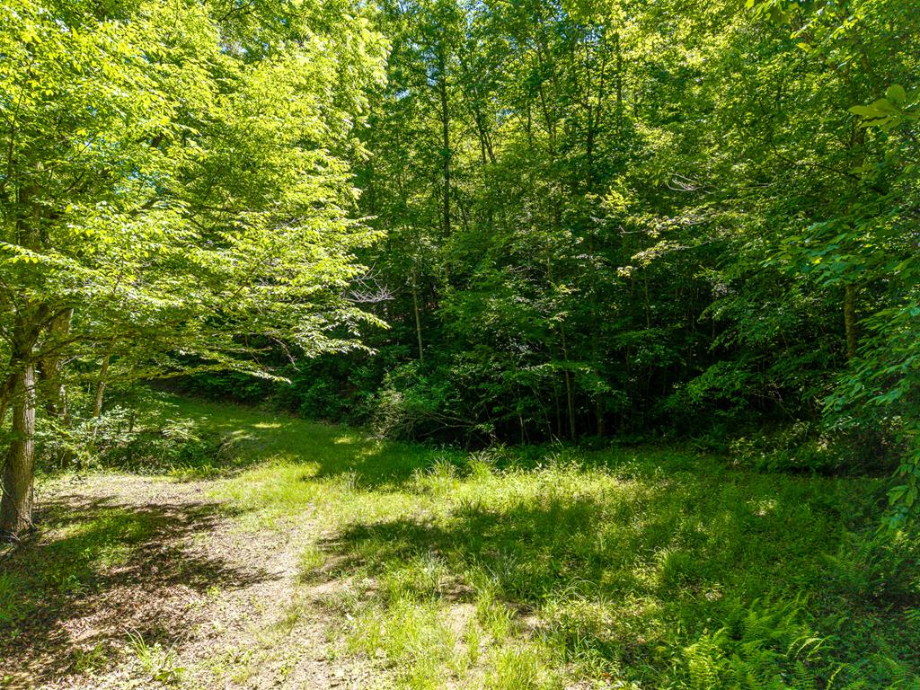46 Green Kirby Lane Property Photo 25