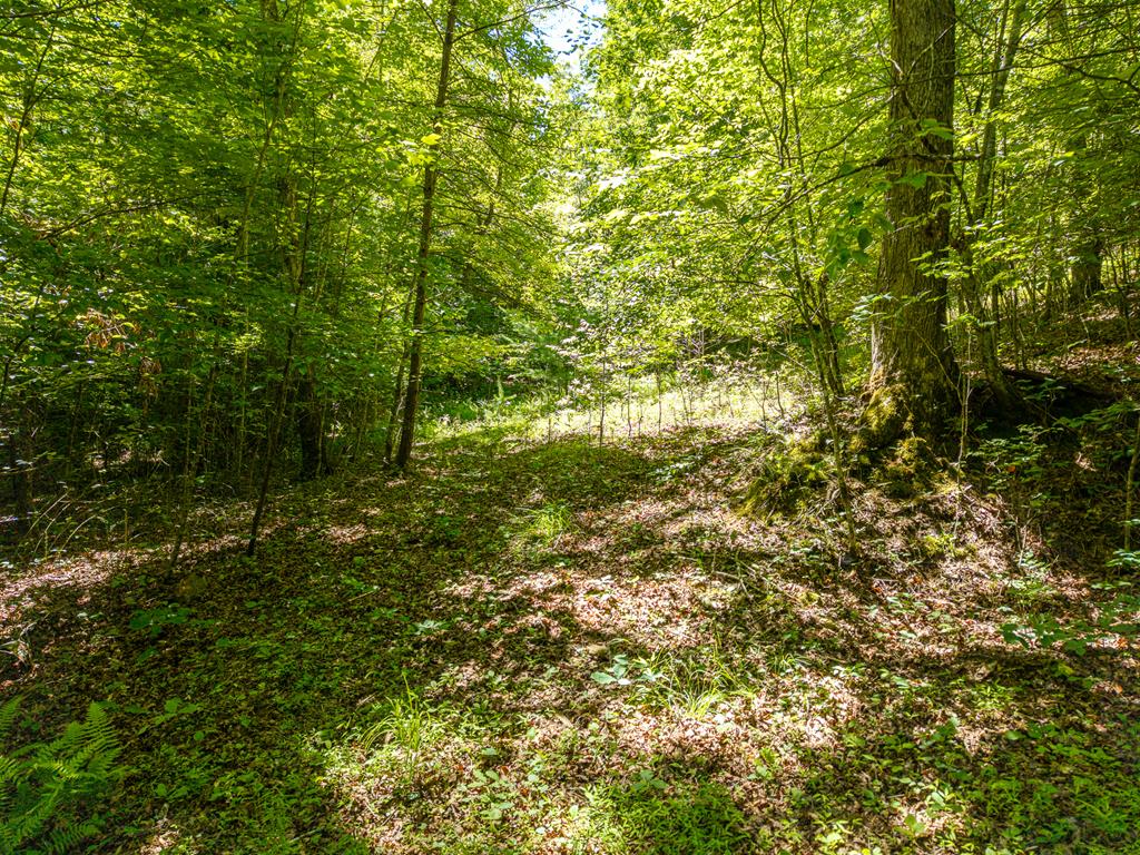 46 Green Kirby Lane Property Photo 26