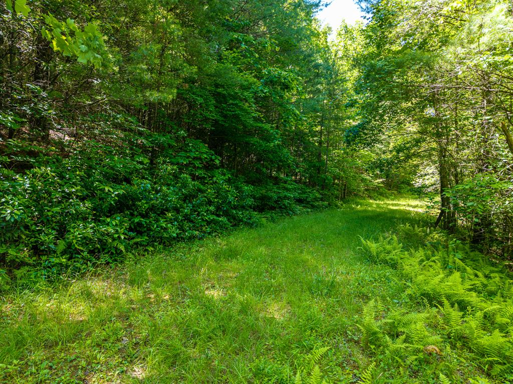 46 Green Kirby Lane Property Photo 29