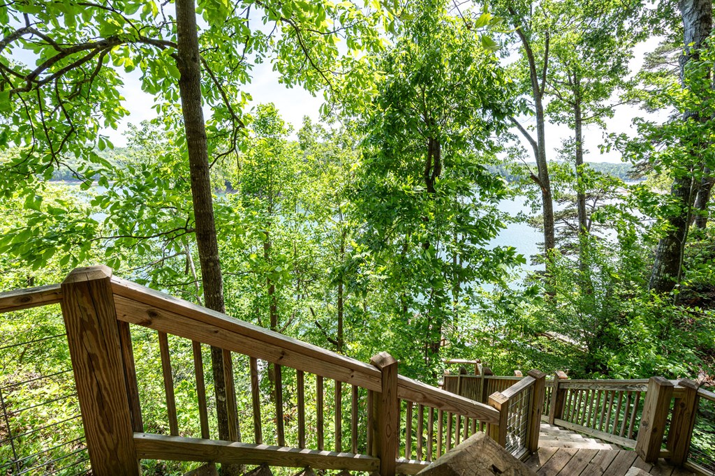 509 Lonesome Pine Road Property Photo 42