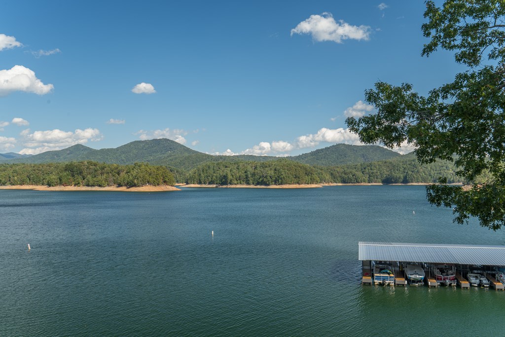 509 Lonesome Pine Road Property Photo 68