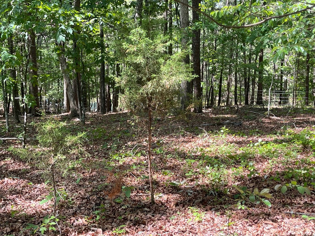 Lot 1 Chalcrest Way Property Photo 5