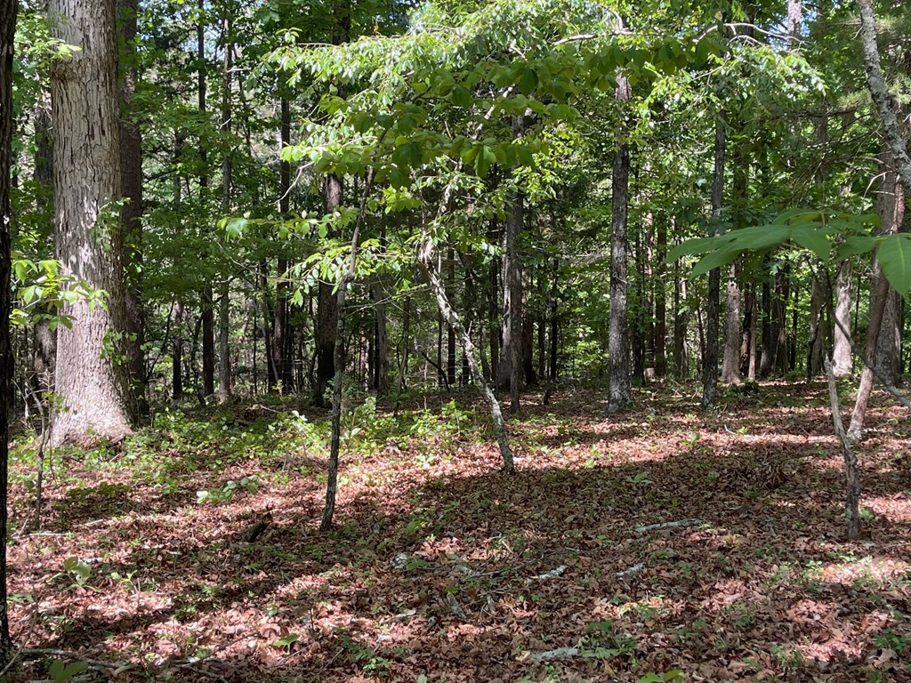 Lot 1 Chalcrest Way Property Photo 6