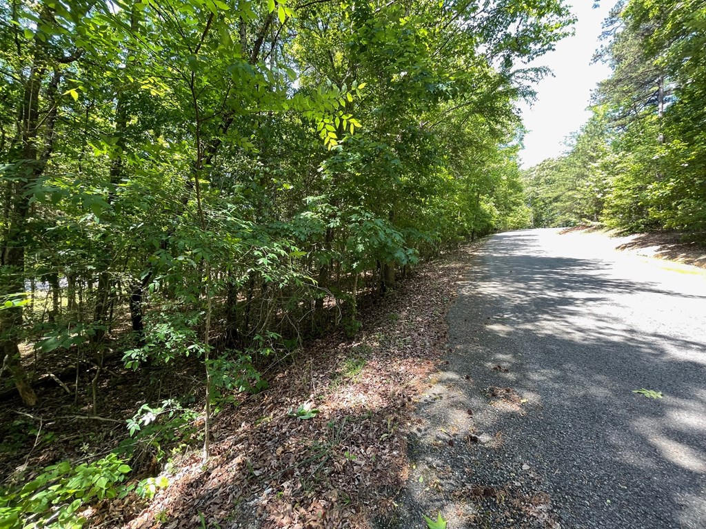 Lot 1 Chalcrest Way Property Photo 9