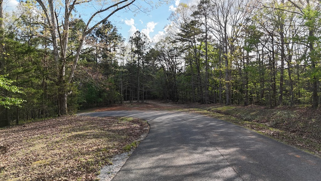 Lot 1 Chalcrest Way Property Photo 13