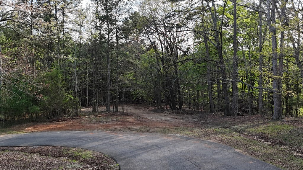 Lot 1 Chalcrest Way Property Photo 15