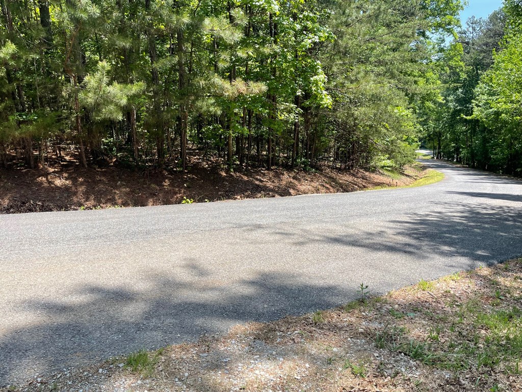 Lot 1 Chalcrest Way Property Photo 17