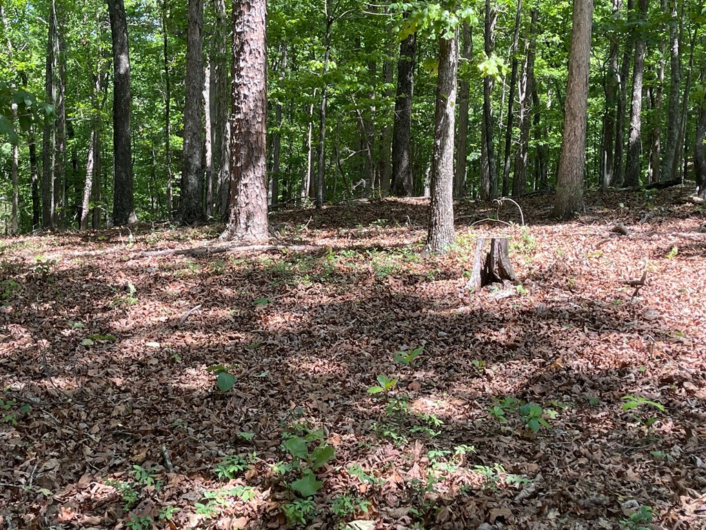 Lot 1 Chalcrest Way Property Photo 18