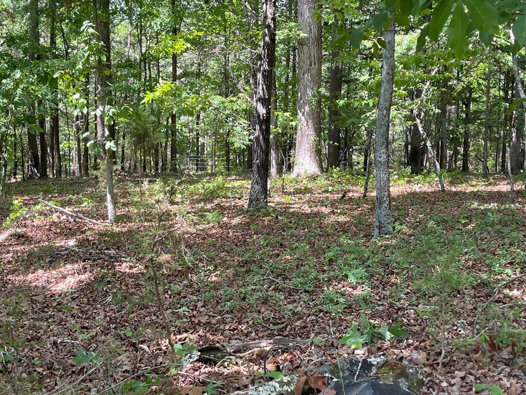 Lot 1 Chalcrest Way Property Photo 19