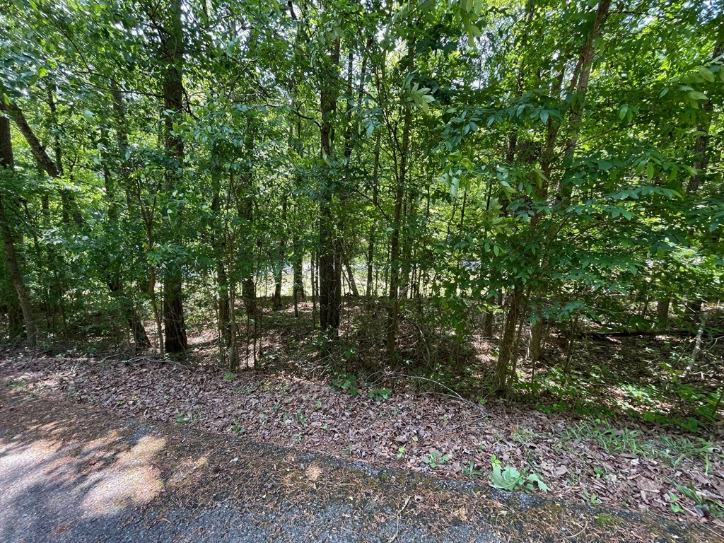 Lot 1 Chalcrest Way Property Photo 20
