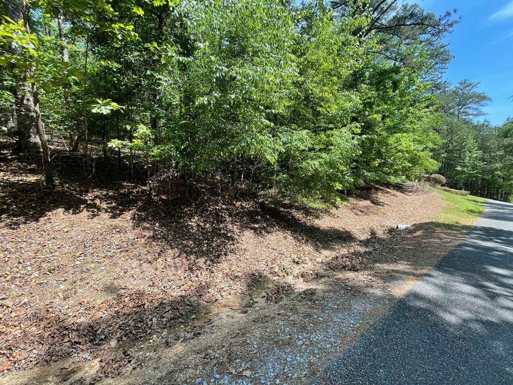 Lot 1 Chalcrest Way Property Photo 21