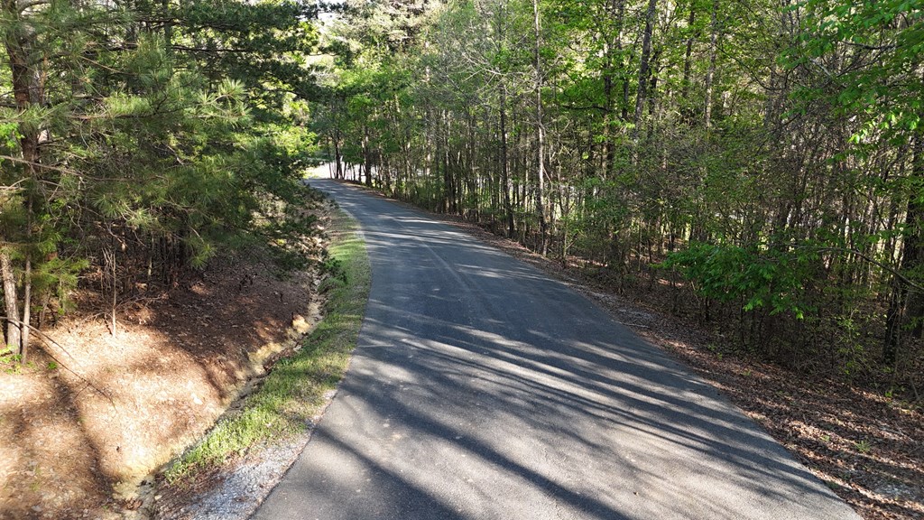 Lot 1 Chalcrest Way Property Photo 22