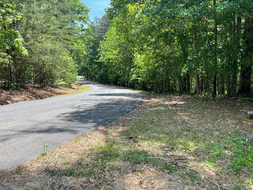 Lot 1 Chalcrest Way Property Photo 23