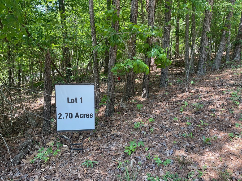 Lot 1 Chalcrest Way Property Photo 24