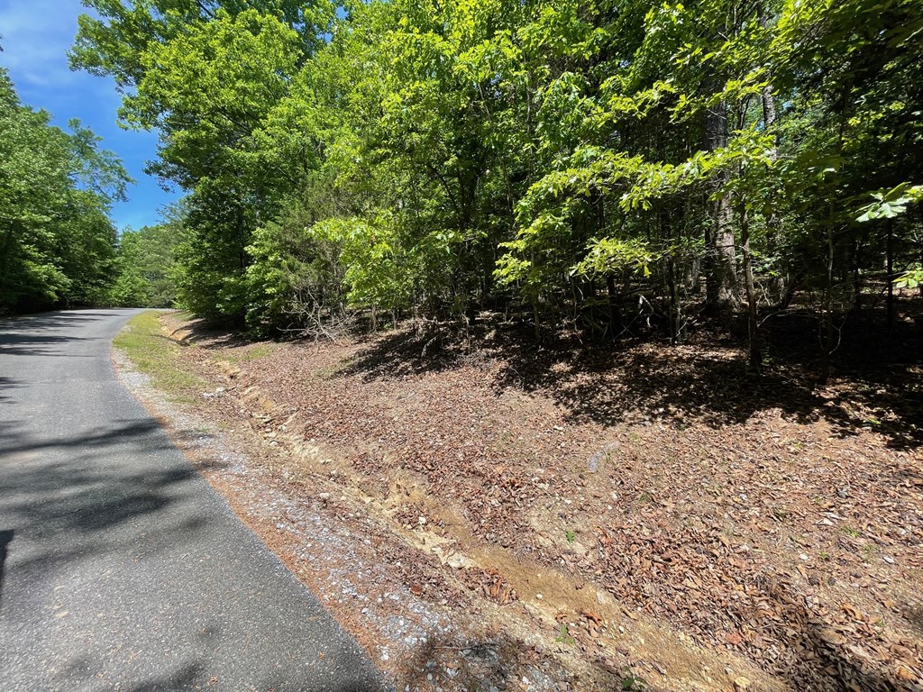 Lot 1 Chalcrest Way Property Photo 26