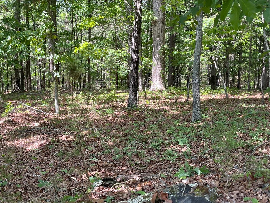 Lot 1 Chalcrest Way Property Photo 62