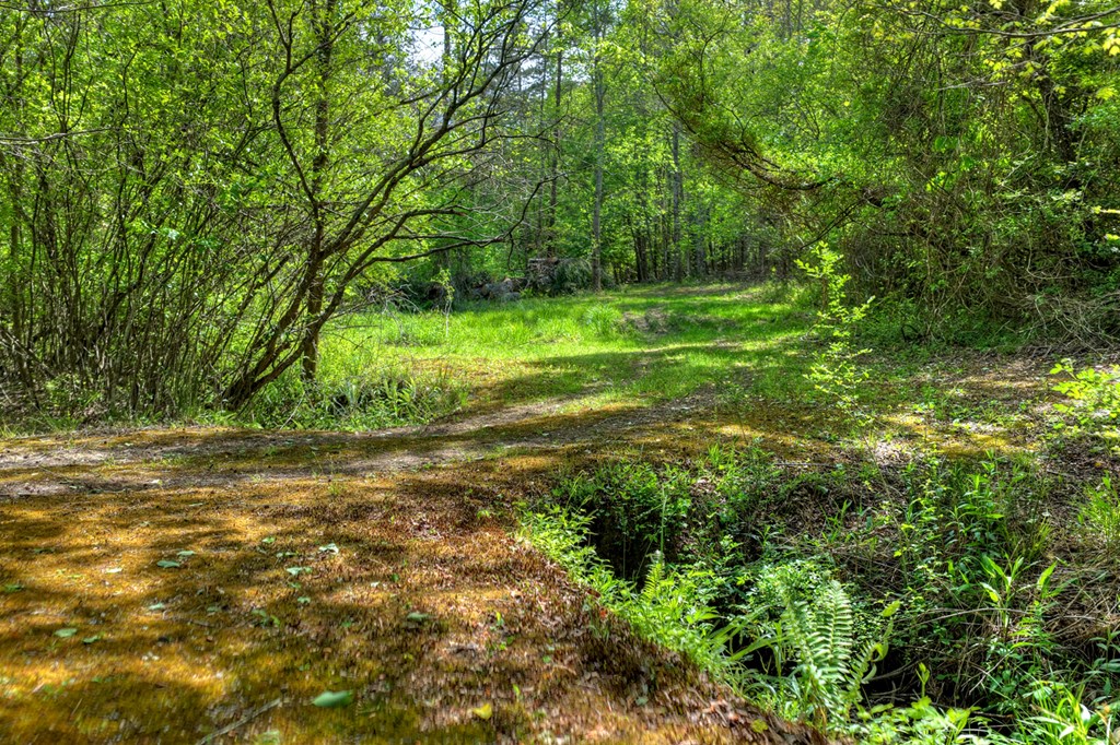 111 Candlewood Lane Property Photo 10