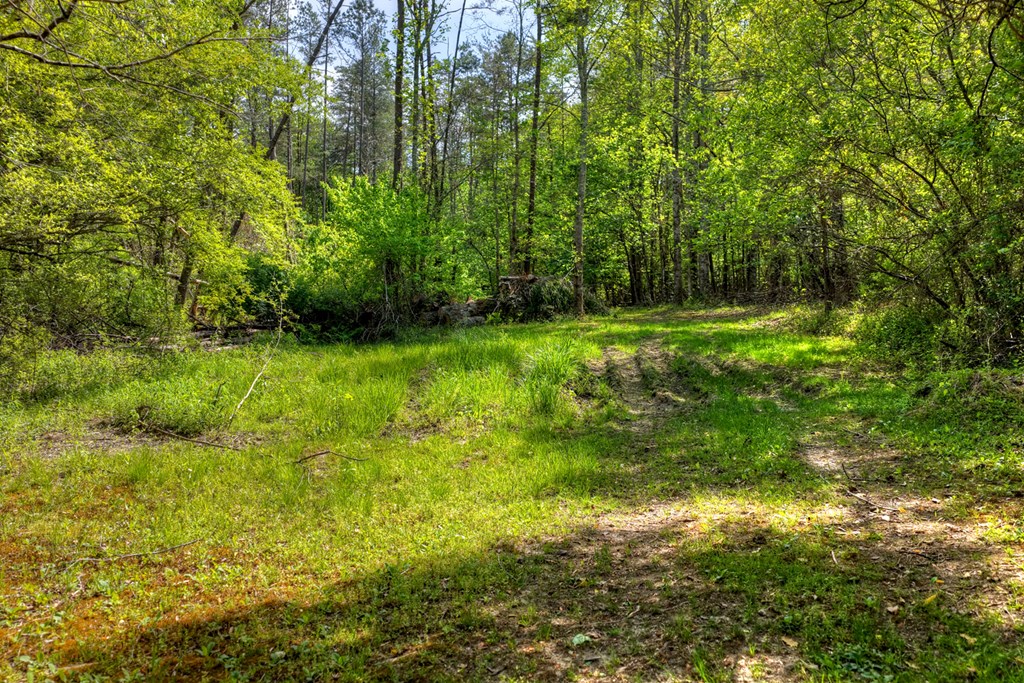 111 Candlewood Lane Property Photo 11