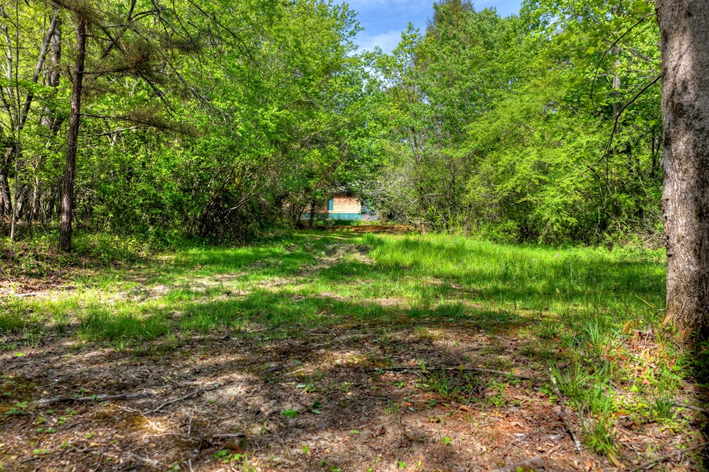 111 Candlewood Lane Property Photo 14