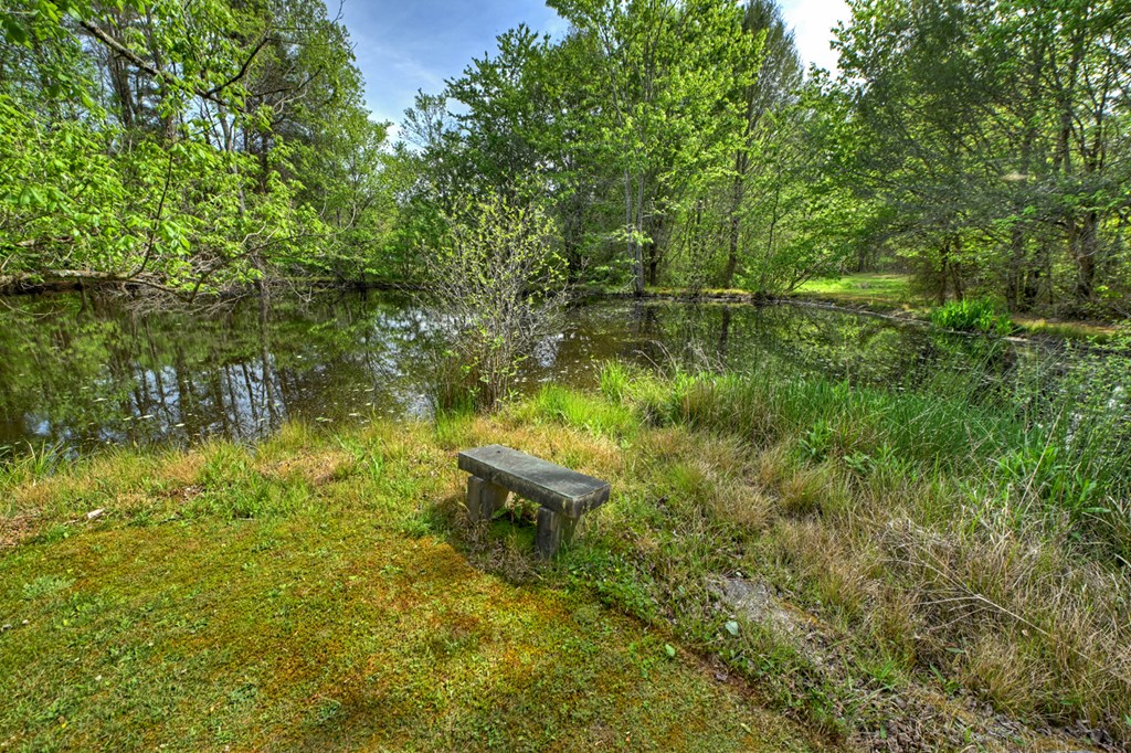 111 Candlewood Lane Property Photo 33