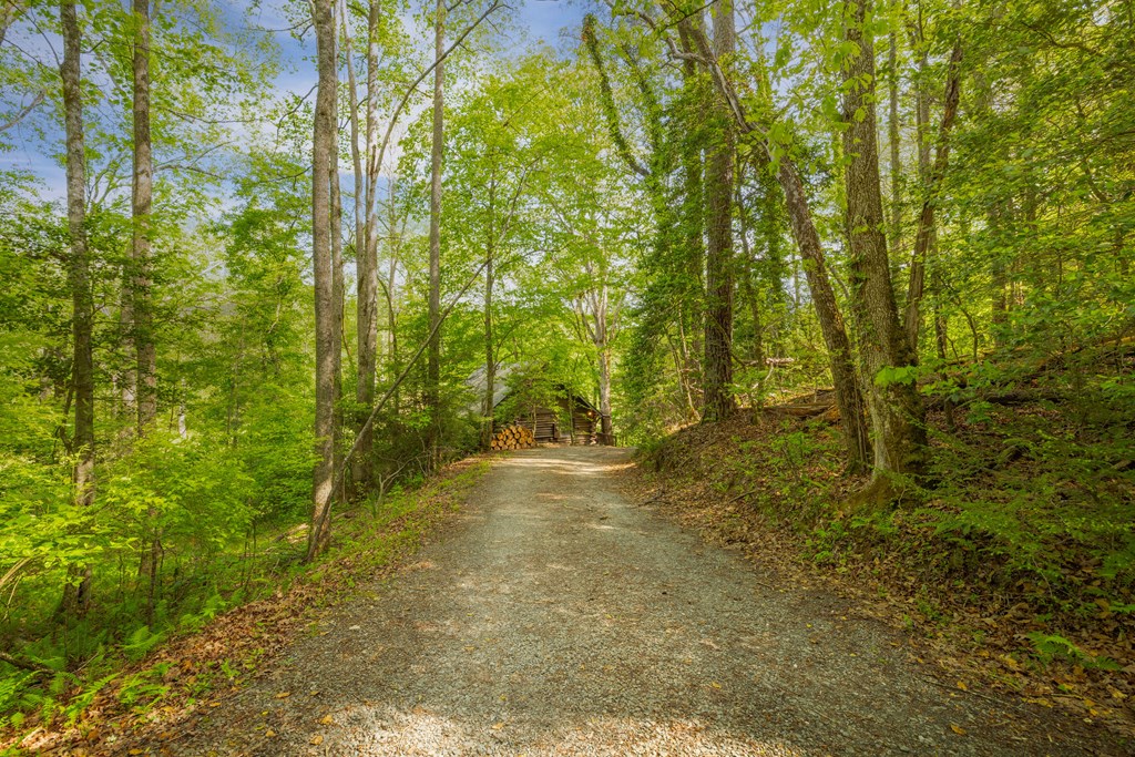 459 Mill Stone Mountain Property Photo 21