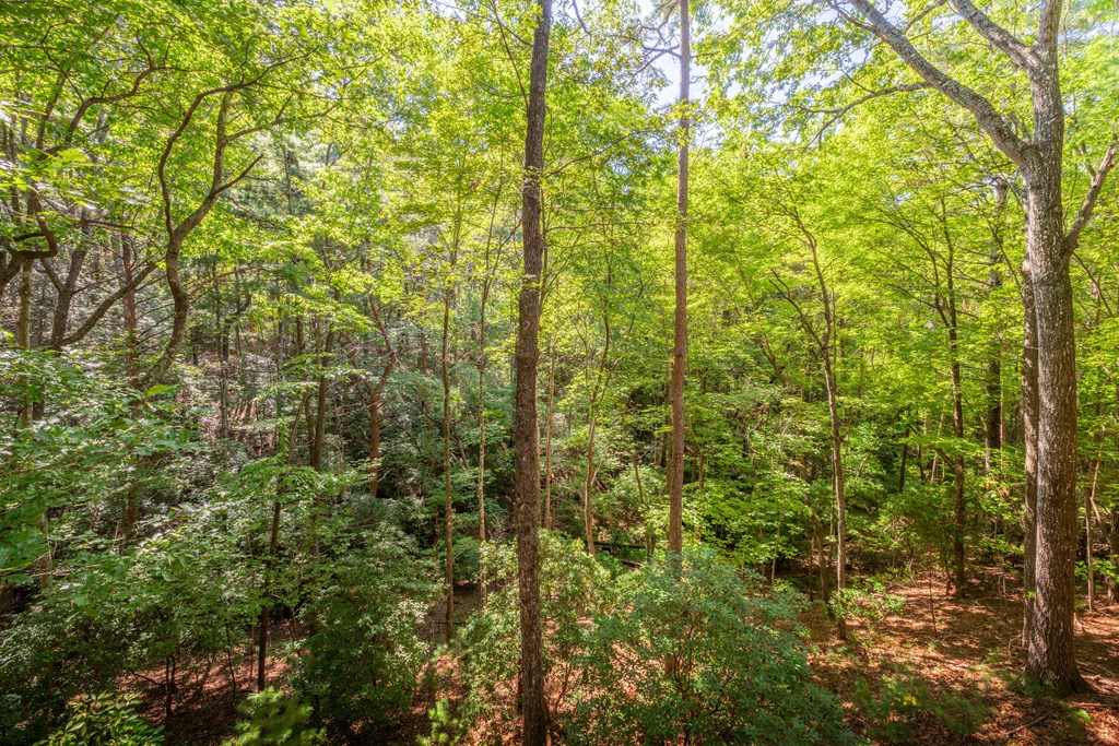 129 N Cherokee Drive Property Photo 25